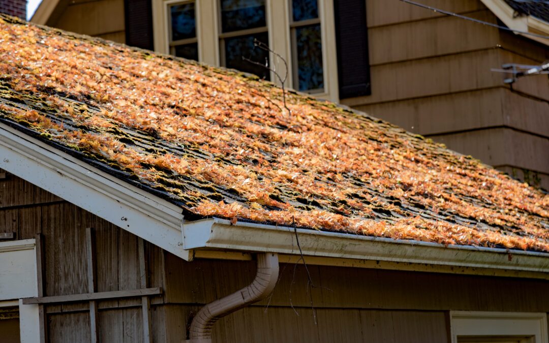 4 Tips to Prepare Your Roof for Springtime in Eugene