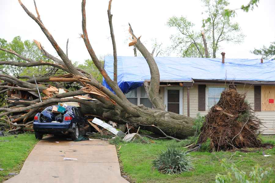 What to Do When a Tree Falls on Your Roof in Eugene