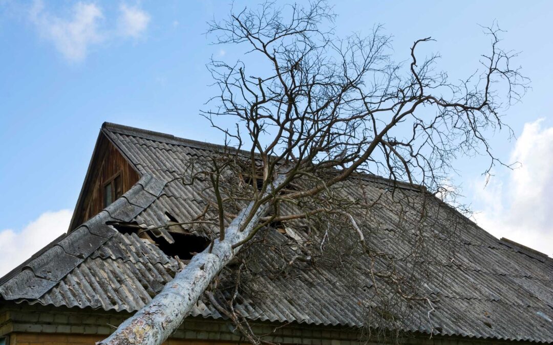 What Wind Speeds Mean When It Comes To Your Roof