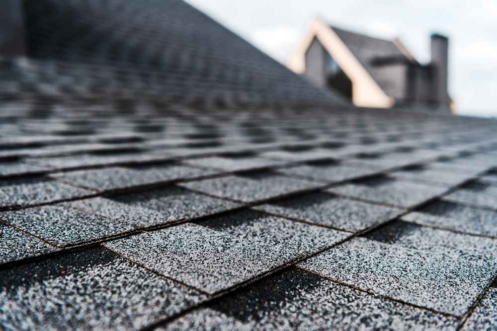 Pros and Cons of Asphalt Shingles for Eugene Homeowners