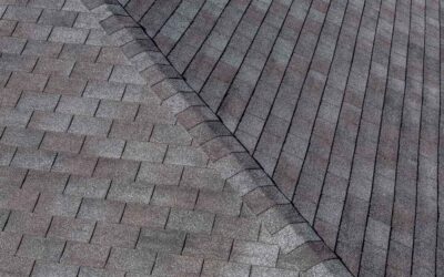 Top Shingle Colors and Roof Color Trends in Eugene for 2025